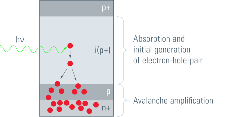 APD detector setup. The incident photon dissociates an electron. Given the electric field across the semiconductor, this electron is accelerated, initiating an avalanche (Leica 2012).