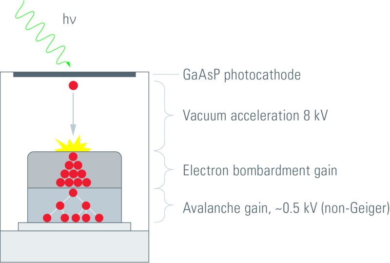 HyD detector setup. A photon dissociates an electron from the photocathode, this electron is then accelerated PMT-style towards an APD-style semiconductor setup, triggering an avalanche (Leica 2012).