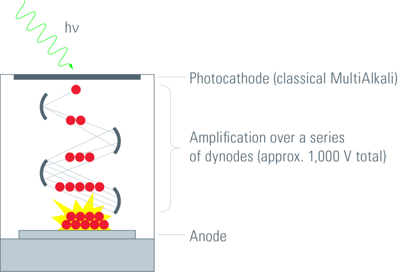 PMT detector setup. Electrons are dissociated by photons at the photocathode, accelerated towards various other cathodes where more and more are freed and then finally they arrive at the anode where the current is measured (Leica 2012).