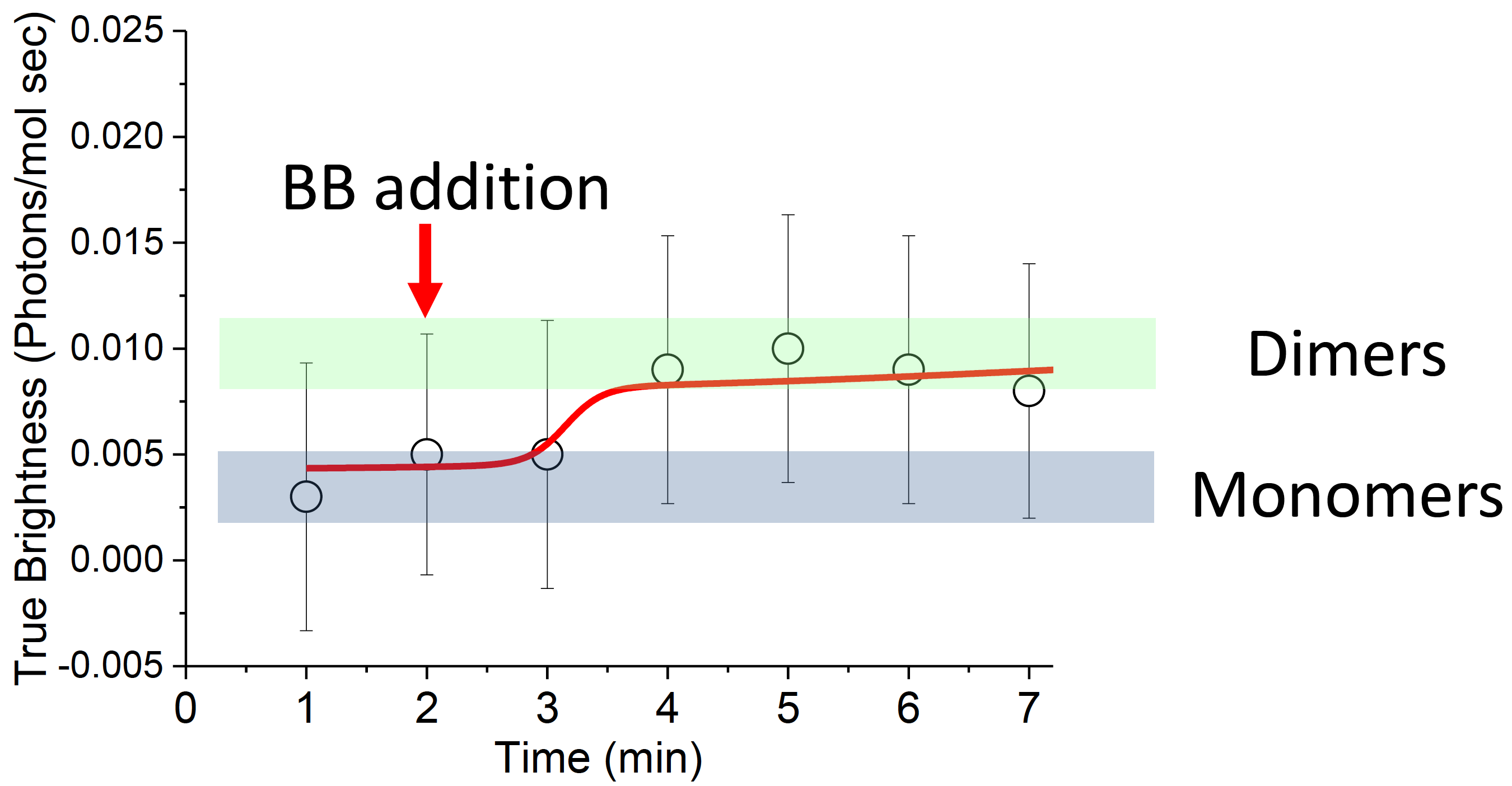 Dimerization of FKBP12F36V upon BB addition is seen by a brightness doubling from \(\epsilon = 0.005\) to \(\epsilon = 0.010\) over a period of minutes.